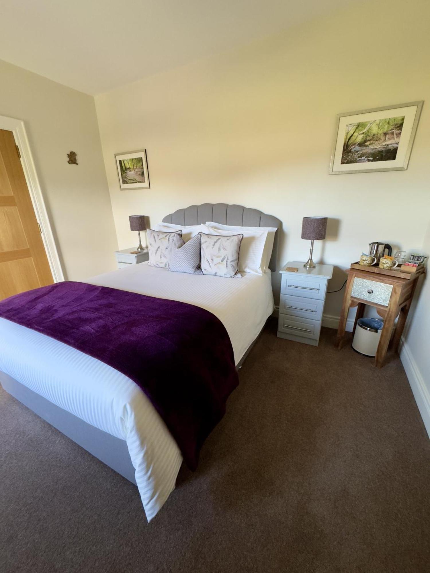 Mourne Country House Bed And Breakfast Kilkeel Pokoj fotografie
